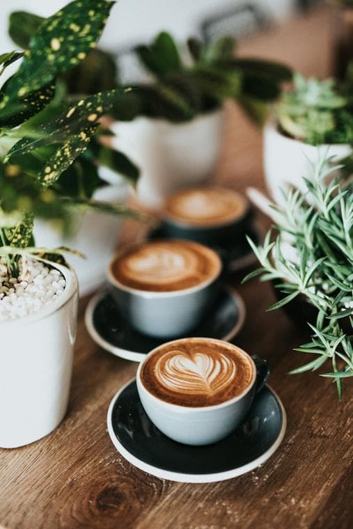 Latte art in white cups on a café table with plants